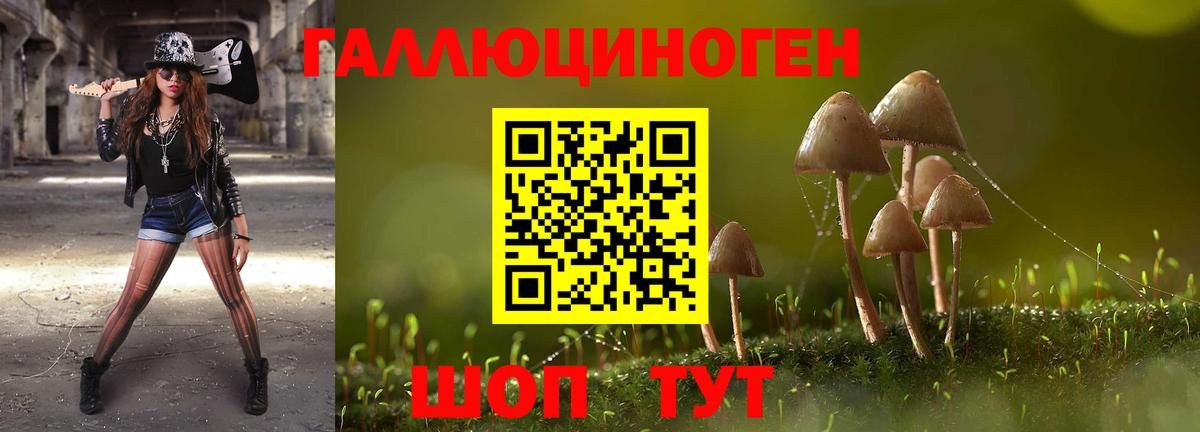 продажа наркотиков  Галлюциногенные грибы ЛСД  Вход с VPN  Волгоград 